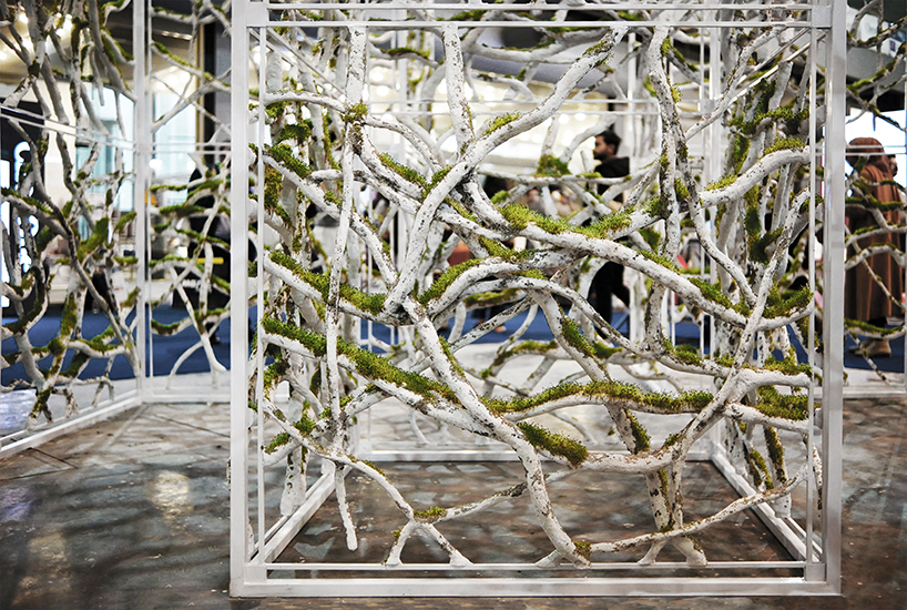 Recycled Paper Transformed Into Living Installation as ‘Morphosis’ Blends Art, Ecology and Sustainable Design