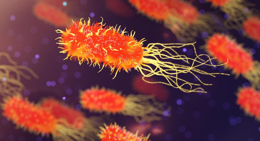 Forgotten Medicinal Plant Revives Hope Against Deadly Superbugs