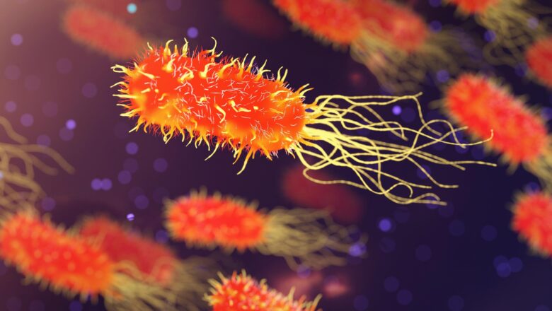 Forgotten Medicinal Plant Revives Hope Against Deadly Superbugs