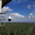 AI Powered Camera Network Boosts Early Bushfire Detection Across South Australia