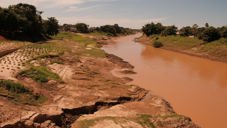 Slowing Tree Loss Rising Hidden Damage: Amazon Faces Silent Collapse Threat