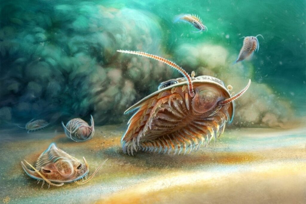 Ancient Giant Beneath Sea Stuns Scientists With 2,000 year Survival Story