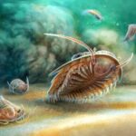 Ancient Giant Beneath Sea Stuns Scientists With 2,000 year Survival Story