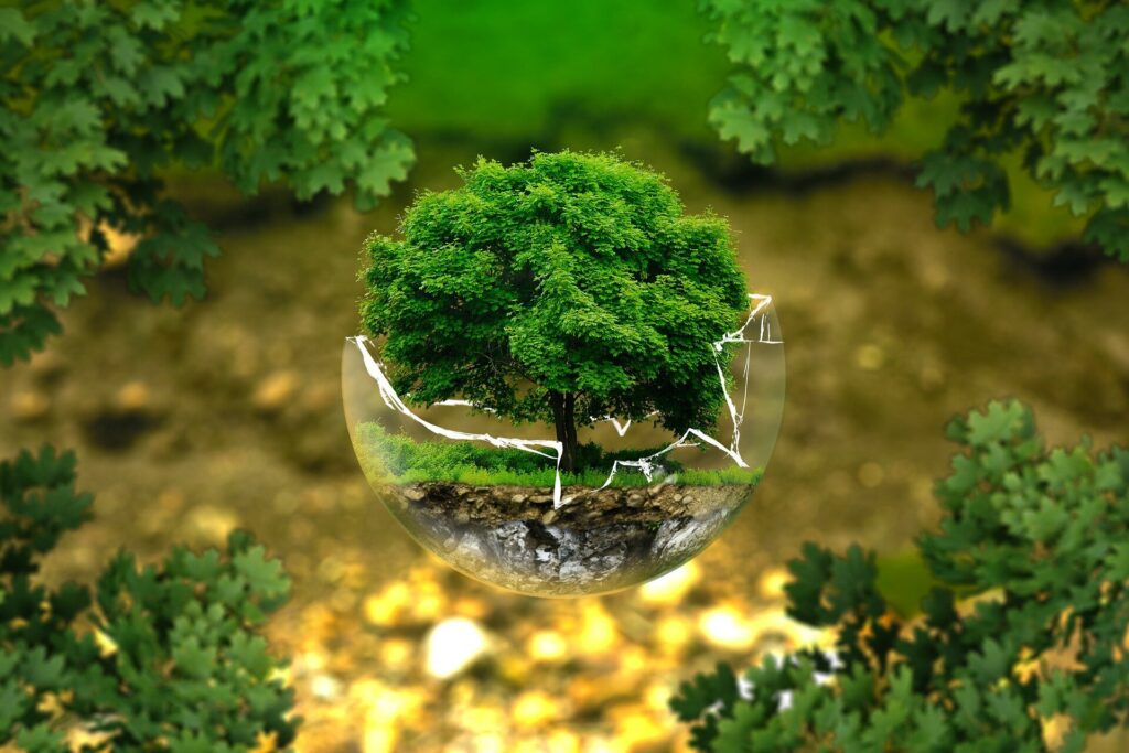 Conserving 30% of Earth Will Only Work if Local Communities Are Included, Researchers Say