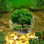 Conserving 30% of Earth Will Only Work if Local Communities Are Included, Researchers Say