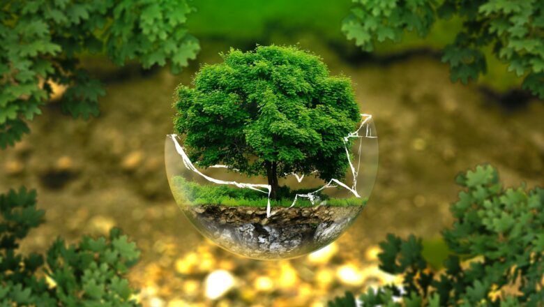 Conserving 30% of Earth Will Only Work if Local Communities Are Included, Researchers Say