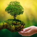 India Northeast Could Become the Country Green Frontier Through Circular Economy Experts Say