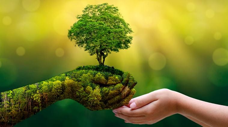 India Northeast Could Become the Country Green Frontier Through Circular Economy Experts Say