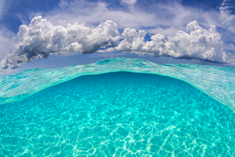 Low Ocean Clouds May Be More Resistant to Global Warming Than Climate Models Predicted