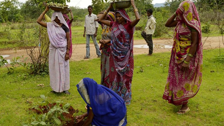 Villages Push Back as Green Credit Tree Programme Expands Across India