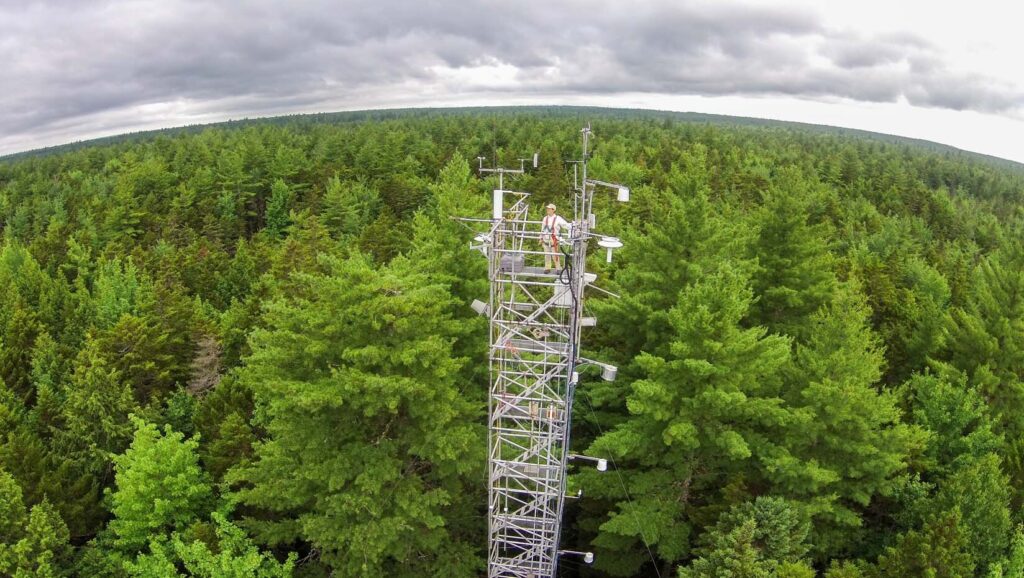 Nature is Becoming a Hidden Driver of Business Growth New Study Finds