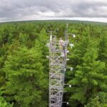Nature is Becoming a Hidden Driver of Business Growth New Study Finds