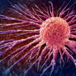 Scientists Develop New Cancer Therapy Inspired by Bacteria Living Inside Tumors