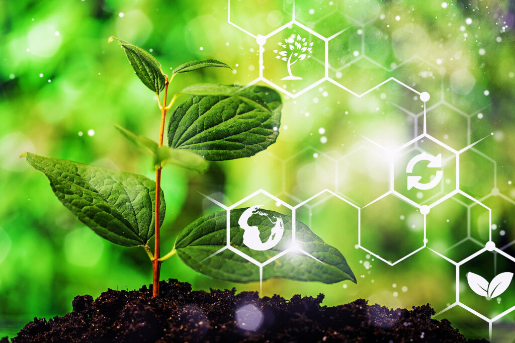 Scientists Discover Hidden Chemical Warning Signs In Plants During Extreme Heat