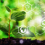 Scientists Discover Hidden Chemical Warning Signs In Plants During Extreme Heat