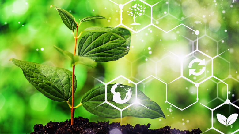 Scientists Discover Hidden Chemical Warning Signs In Plants During Extreme Heat