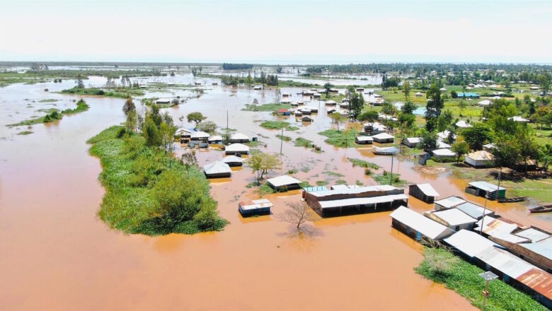 African Cities Turn to Nature to Fight Floods and Climate Change