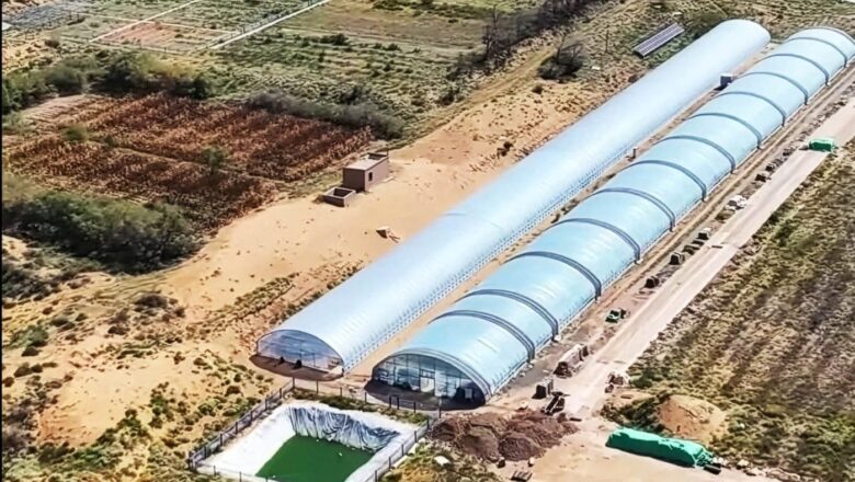 Scientists Develop Microbial Technique That Can Turn Desert Sand Into Fertile Soil Within Months