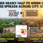 Delhi Loses Nearly Half Its Green Cover as Heat Stress Spreads Across City: CSE Report