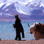 Tibet Green Energy Boom Sparks New Questions for Nomadic Communities