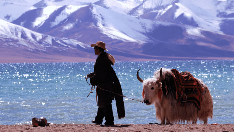 Tibet Green Energy Boom Sparks New Questions for Nomadic Communities