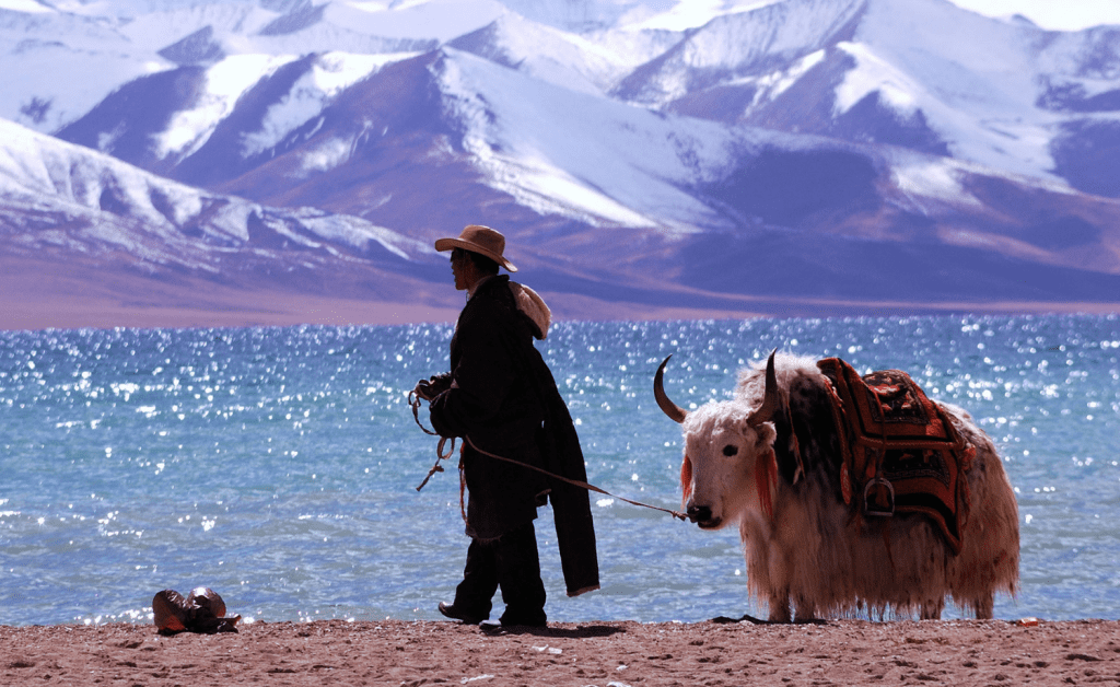 Tibet Green Energy Boom Sparks New Questions for Nomadic Communities