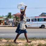 African Cities Turn to Trees as Climate Solution Amid Rising Heat and Rapid Urban Growth