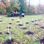 Experts Warn Wales Is Falling Behind on Tree Planting, Putting Future Climate Goals at Risk