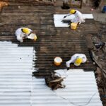 Cool Roofs Could Be India’s Secret Weapon Against Extreme Heat, But Adoption Remains Low