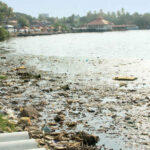 Pollution in Kerala Vembanad Lake Runs Deeper Than Houseboat Tourism, Experts Say