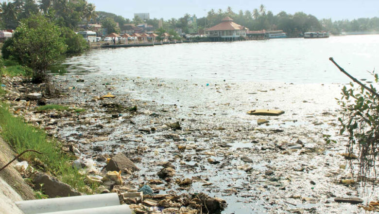 Pollution in Kerala Vembanad Lake Runs Deeper Than Houseboat Tourism, Experts Say