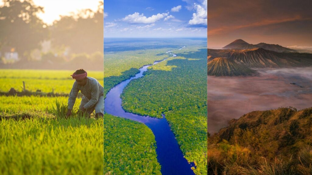 Farms and Forests, Not Diet Changes Hold Key to Climate Action in India, Brazil and Indonesia