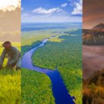 Farms and Forests, Not Diet Changes Hold Key to Climate Action in India, Brazil and Indonesia
