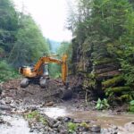 Europe Removes Record 603 River Barriers in 2025 to Restore Ecosystems and Protect Wildlife