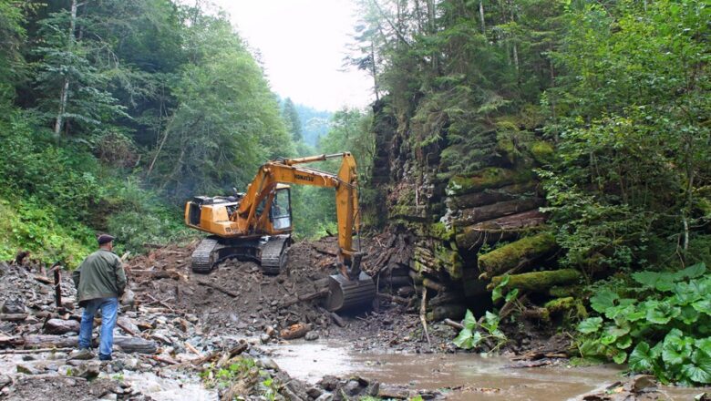 Europe Removes Record 603 River Barriers in 2025 to Restore Ecosystems and Protect Wildlife
