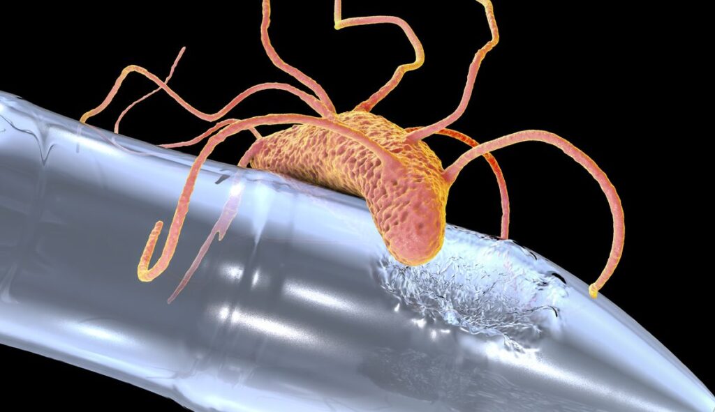 Plastic Eating Soil Bacterium That Could Help Tackle Farm Pollution