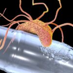 Plastic Eating Soil Bacterium That Could Help Tackle Farm Pollution