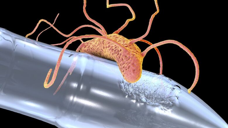Plastic Eating Soil Bacterium That Could Help Tackle Farm Pollution