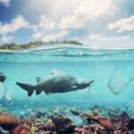 Ocean Plastic Is Creating New Marine Ecosystems Faster Than Scientists Expected