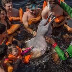 Wildlife Tourism Under Scrutiny as Local Communities Raise Concerns Over Safari Culture