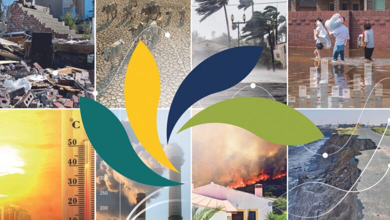 New Dashboard Tracks Disaster Finance Across 82 Countries