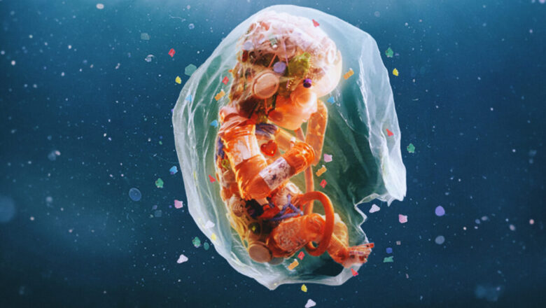 Plastic Pollution Crisis Deepens as Microplastics Found in Human Brains, Blood and Placentas