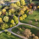 Karnataka Adopts Miyawaki Forest Model to Boost Urban Green Cover