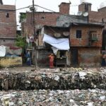 Urban Greening Can Help Delhi Fight Air Pollution Experts Say