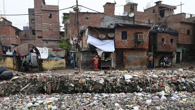 Urban Greening Can Help Delhi Fight Air Pollution Experts Say