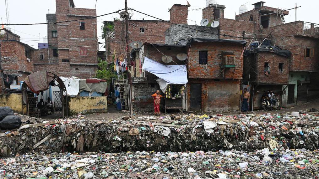 Urban Greening Can Help Delhi Fight Air Pollution Experts Say