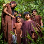 Climate Action Risks Displacing Indigenous Communities, Experts Warn