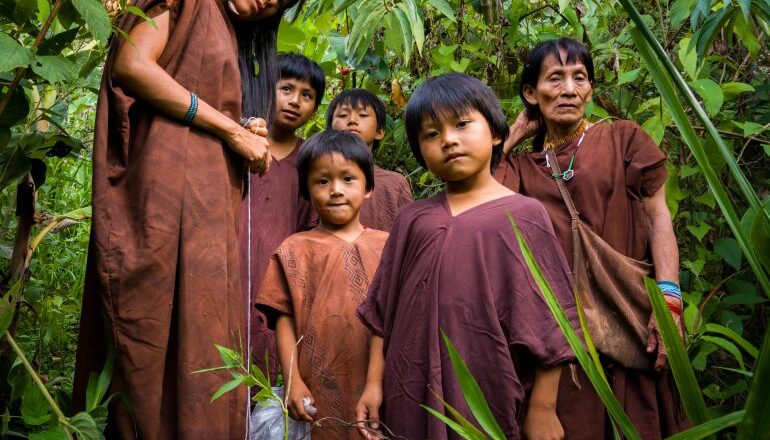 Climate Action Risks Displacing Indigenous Communities, Experts Warn