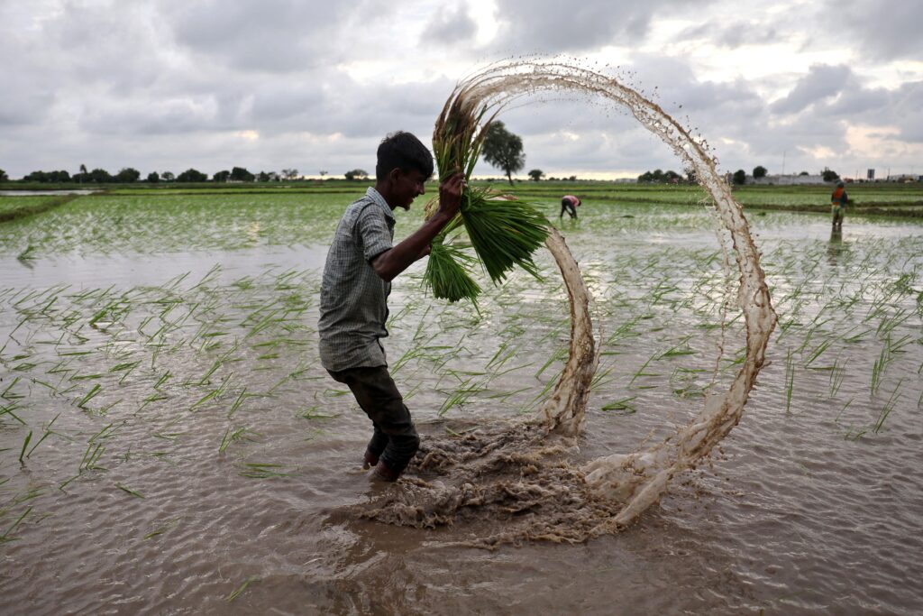 Monsoon Stalls Across India as Rainfall Deficit Reaches 64%, Raising Alarm for Agriculture and Water Supply
