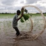 Monsoon Stalls Across India as Rainfall Deficit Reaches 64%, Raising Alarm for Agriculture and Water Supply